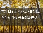 花生日记,花生日记运营商
