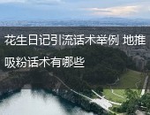 花生日记引流话术