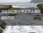 花生日记吸粉引流
