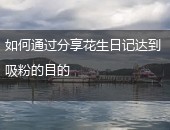 花生日记吸粉