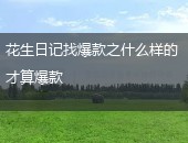 花生日记爆款