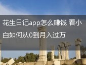 花生日记,花生日记app怎么赚钱