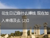花生日记赚钱,花生日记怎样赚钱