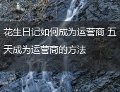 花生日记如何成为运营商