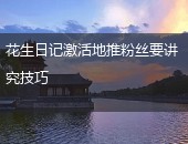 花生日记激活地推