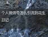 花生日记引流