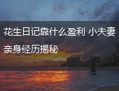花生日记,花生日记盈利,