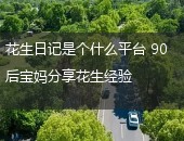 花生日记是什么平台