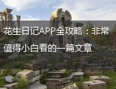 花生日记,花生日记全攻略