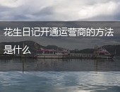 花生日记开通运营
