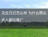 花生日记怎么样