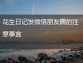 花生日记朋友圈