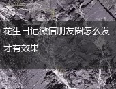 花生日记朋友圈