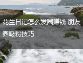 花生日记发圈