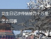 花生日记,花生日记涉传销被罚千万