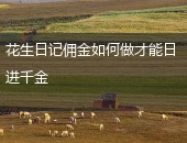 花生日记佣金
