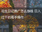 花生日记挣钱