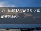 花生邀请码
