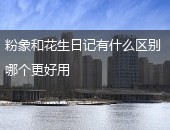 粉象和花生日记