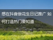 花生日记推广
