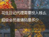 花生日记代理