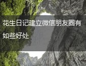 花生日记朋友圈
