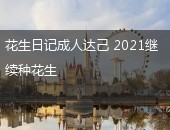 花生日记