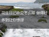 花生日记收益