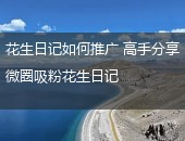 花生日记,花生日记如何推广