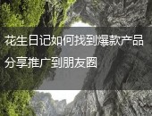 花生日记,花生日记爆款