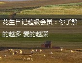 花生日记,花生日记超级会员