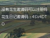 没有花生邀请码可以注册吗