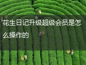 花生日记,花生日记升级超级会员