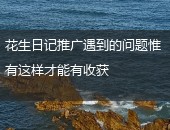 花生日记推广