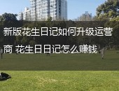 花生日记,花生日记运营商