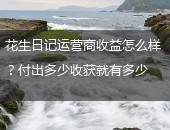 花生日记运营商,花生日记运营商收益