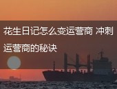 花生日记,花生日记变运营商