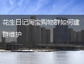 花生日记购物群