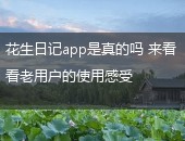 花生日记,花生日记app是真的吗