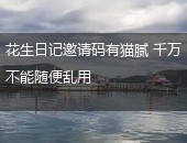 花生日记,花生日记邀请码