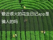 花生日记,花生日记app骗人