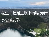 花生日记正规平台