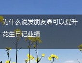 花生日记业绩