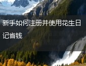 花生日记使用