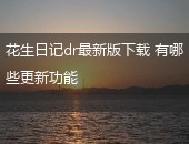 花生日记dr