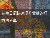 花生日记提升业绩
