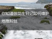 花生日记地推粉丝
