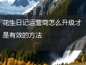 花生日记运营商