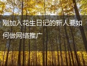 花生日记,花生日记网络推广