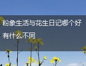 粉象生活,花生日记